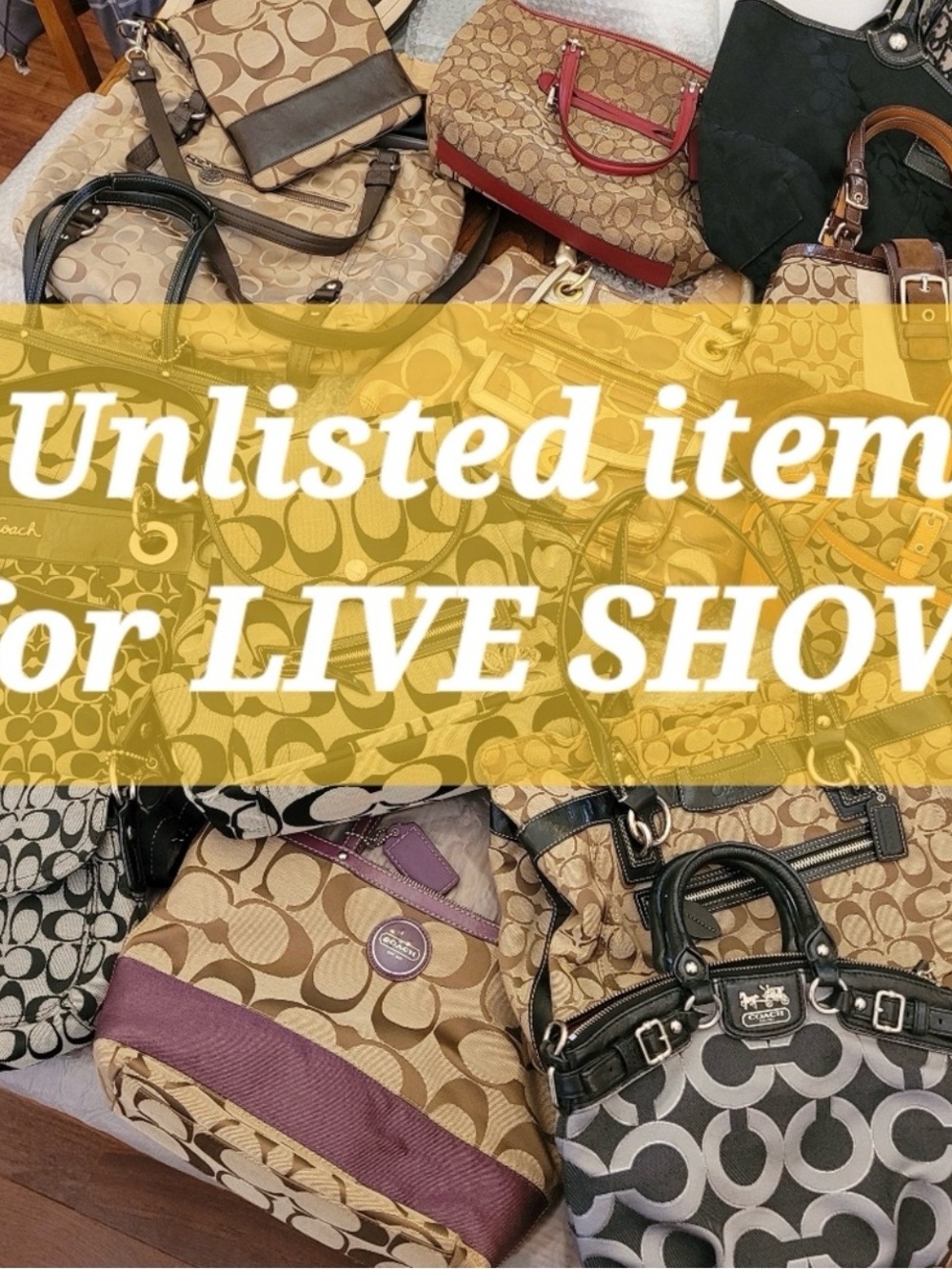 SISTER/SISTER Live Show Unlisted Item 
** PLEASE DO NOT BUY **